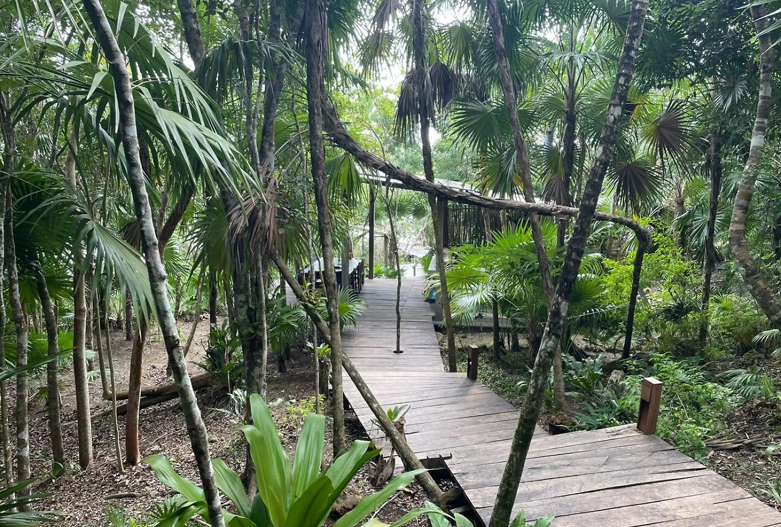 Ecostay Sukha- Cabanas Ecologicas Frente A La Laguna Bacalar 0*,  Mexico