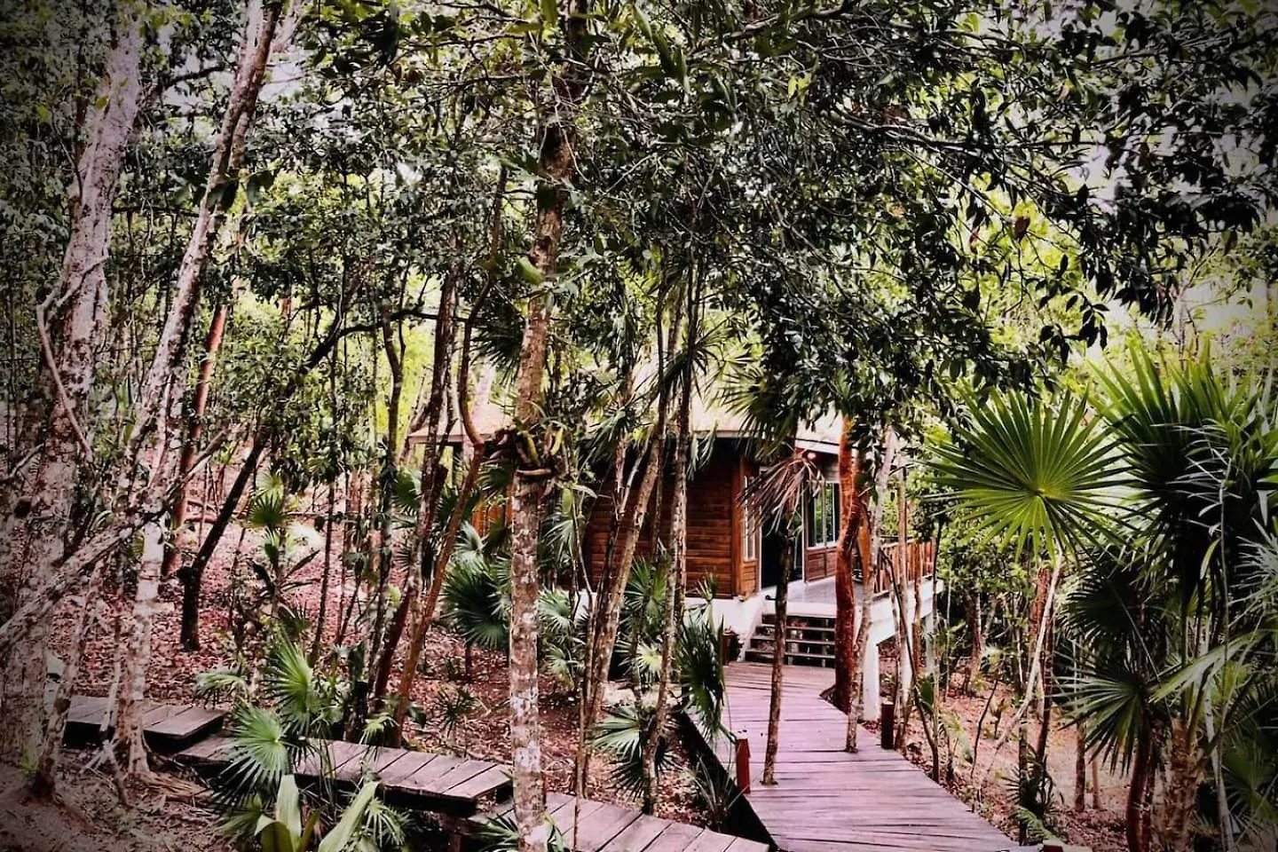Ecostay Sukha- Cabanas Ecologicas Frente A La Laguna Bacalar Villa